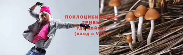 круглые Алексеевка