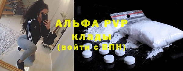 прущие грибы Алексин