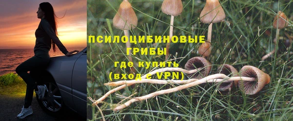 прущие грибы Алексин
